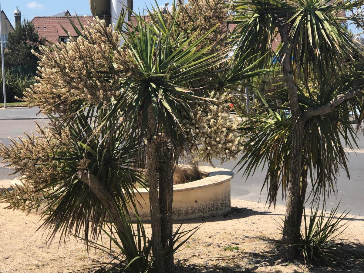 Apartment Le 84 Courseulles-sur-Mer